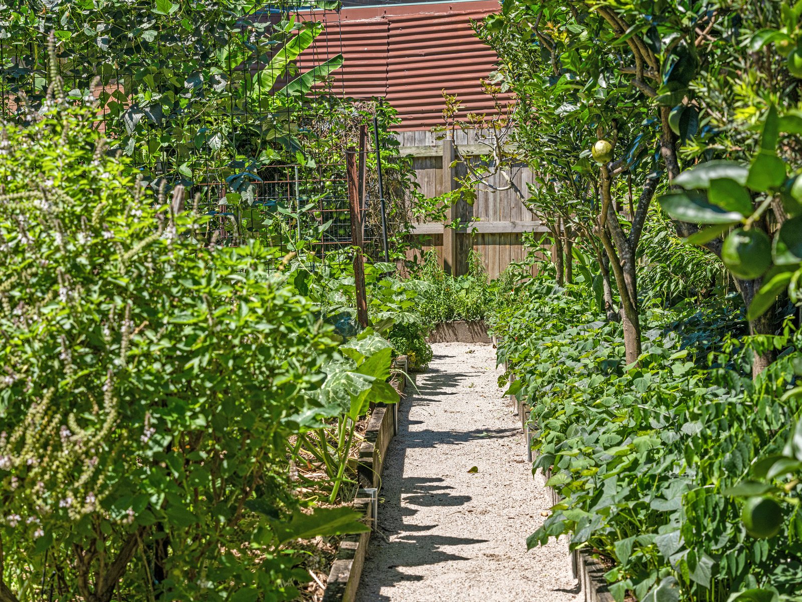 8 Terrace Street CHINDERAH 22