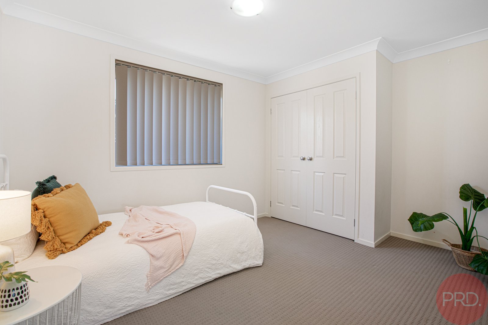 8 Undercliff Street CLIFTLEIGH 9