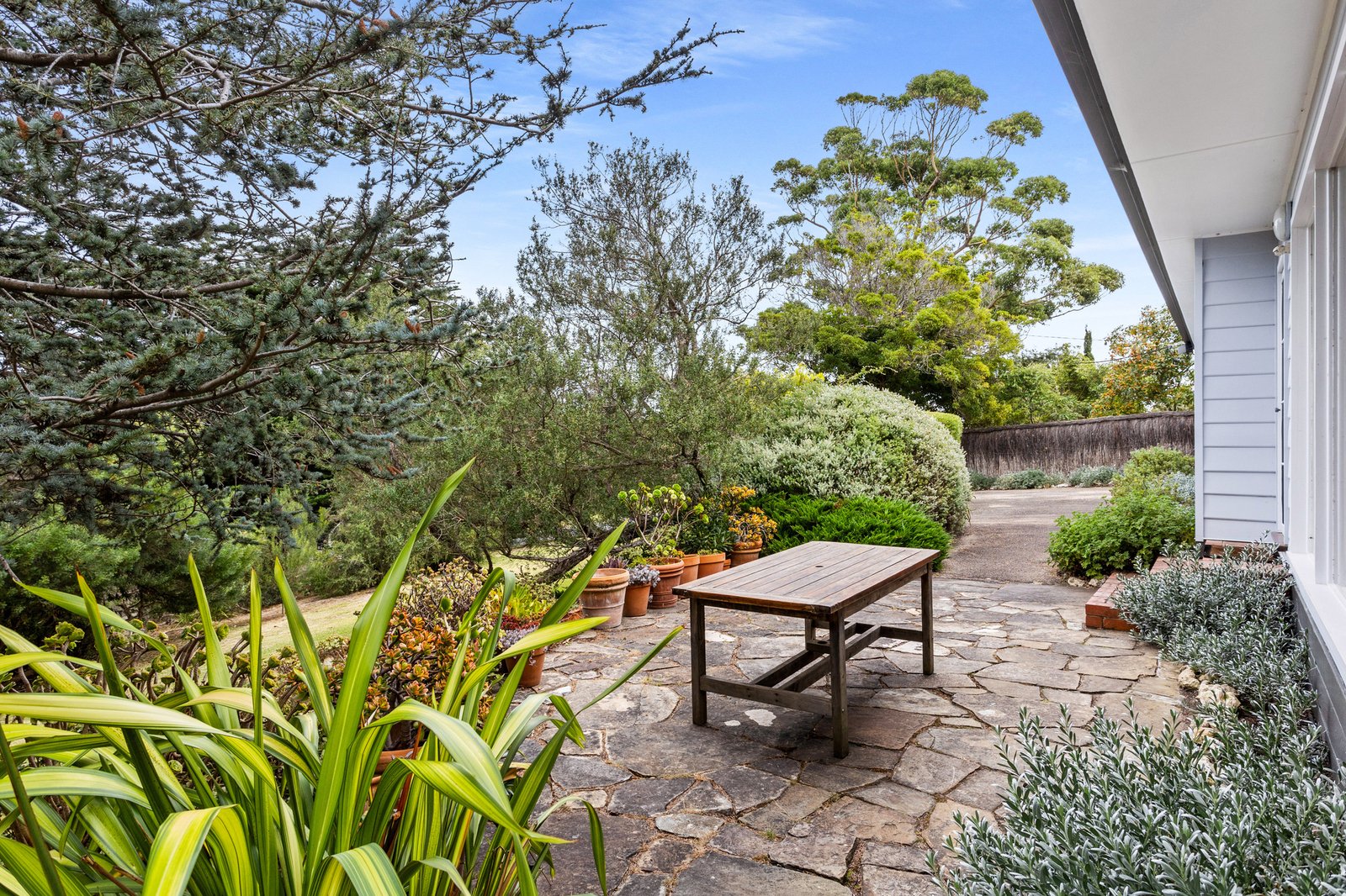 Gallery: 8 Welbeck Avenue