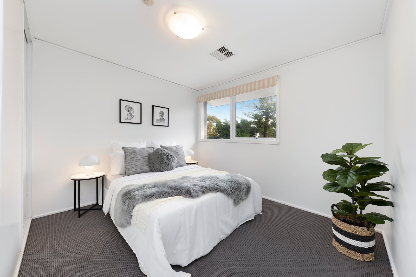 8 White Avenue MAROUBRA 10