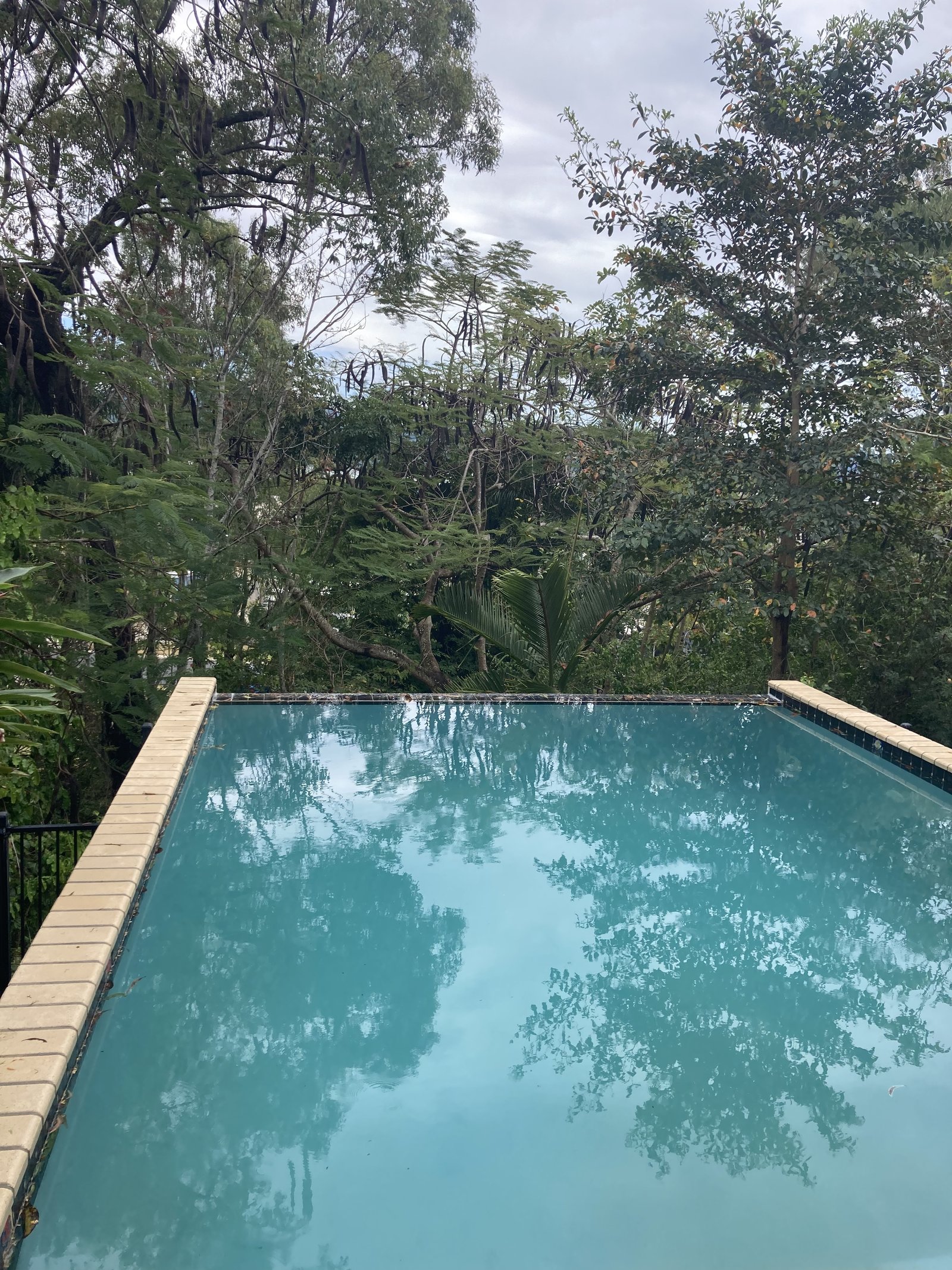 8 William Close CANNONVALE 1