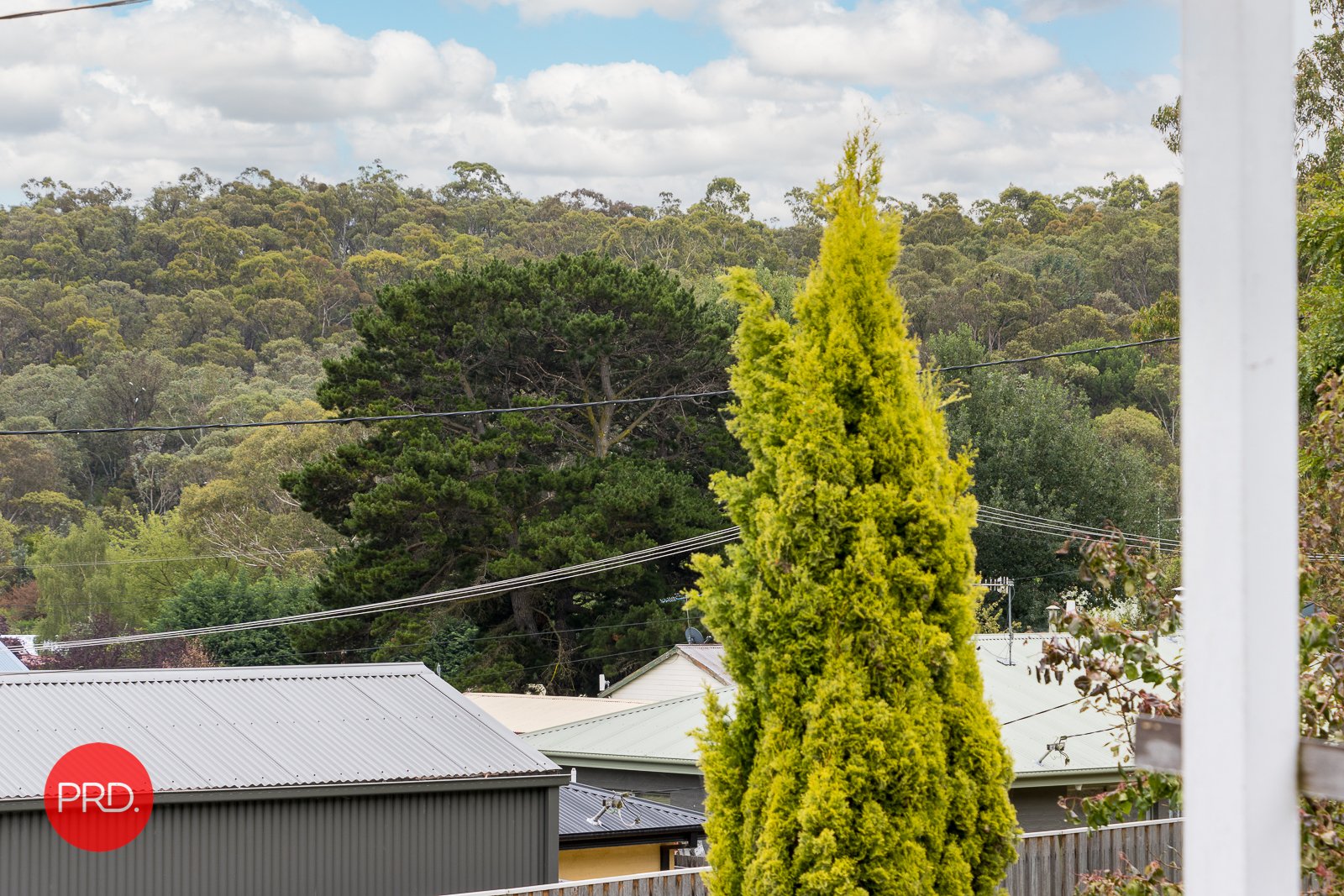 8 Willow Road CAPTAINS FLAT 12