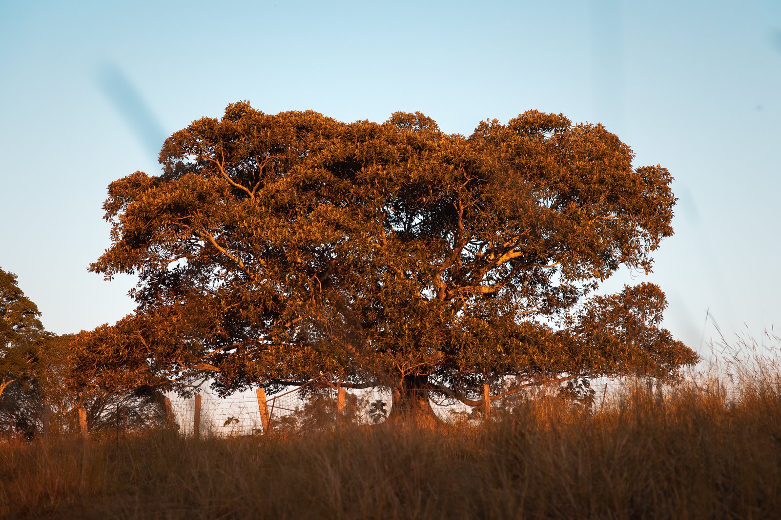 80-84 Windarra Place KYOGLE 16