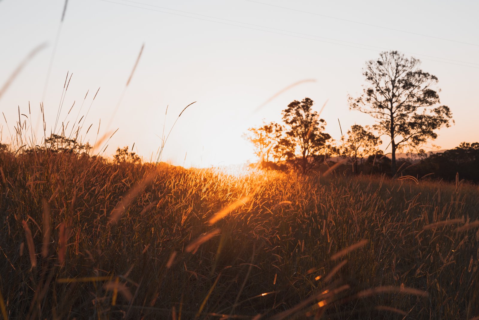 80-84 Windarra Place KYOGLE 21