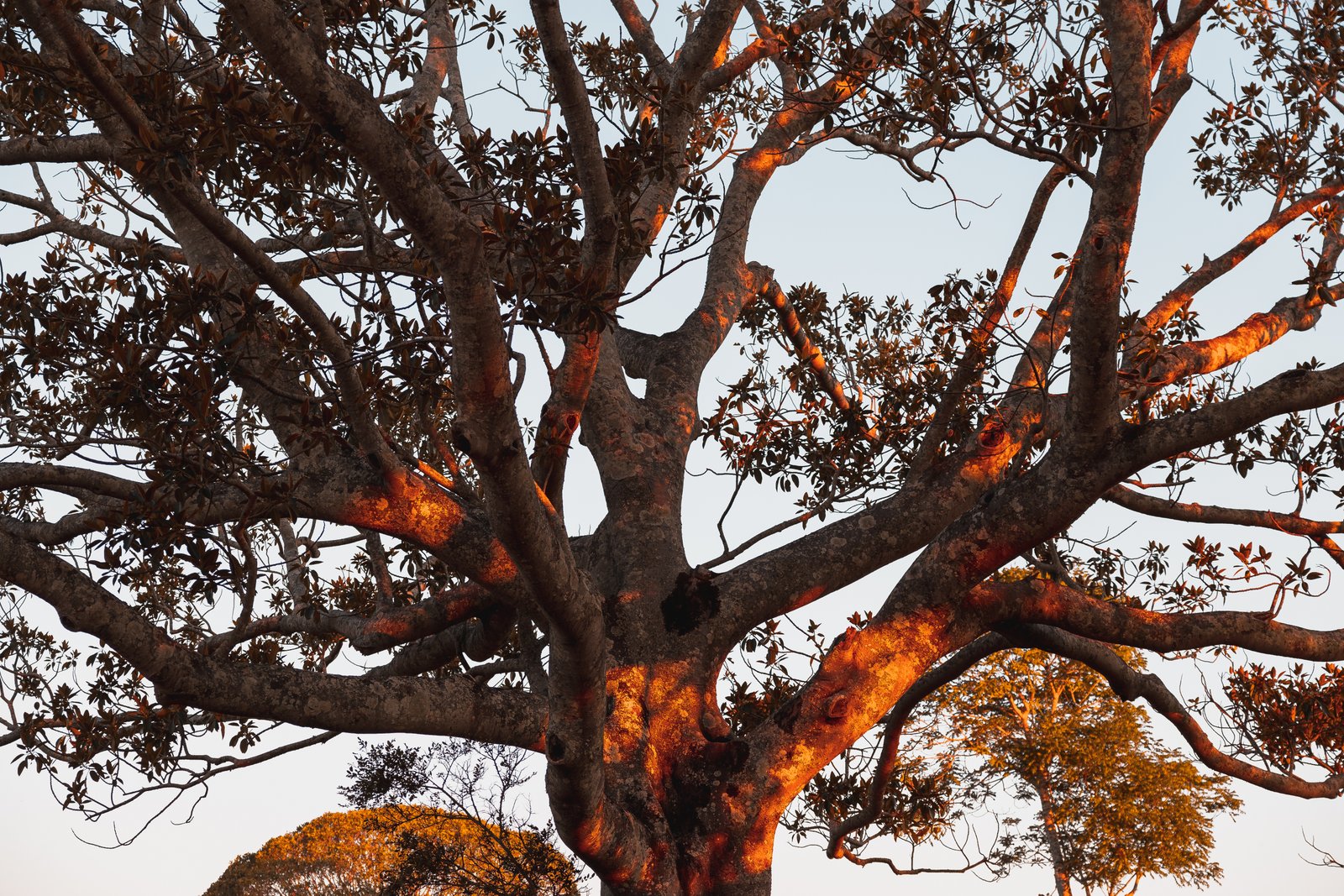 80-84 Windarra Place KYOGLE 22