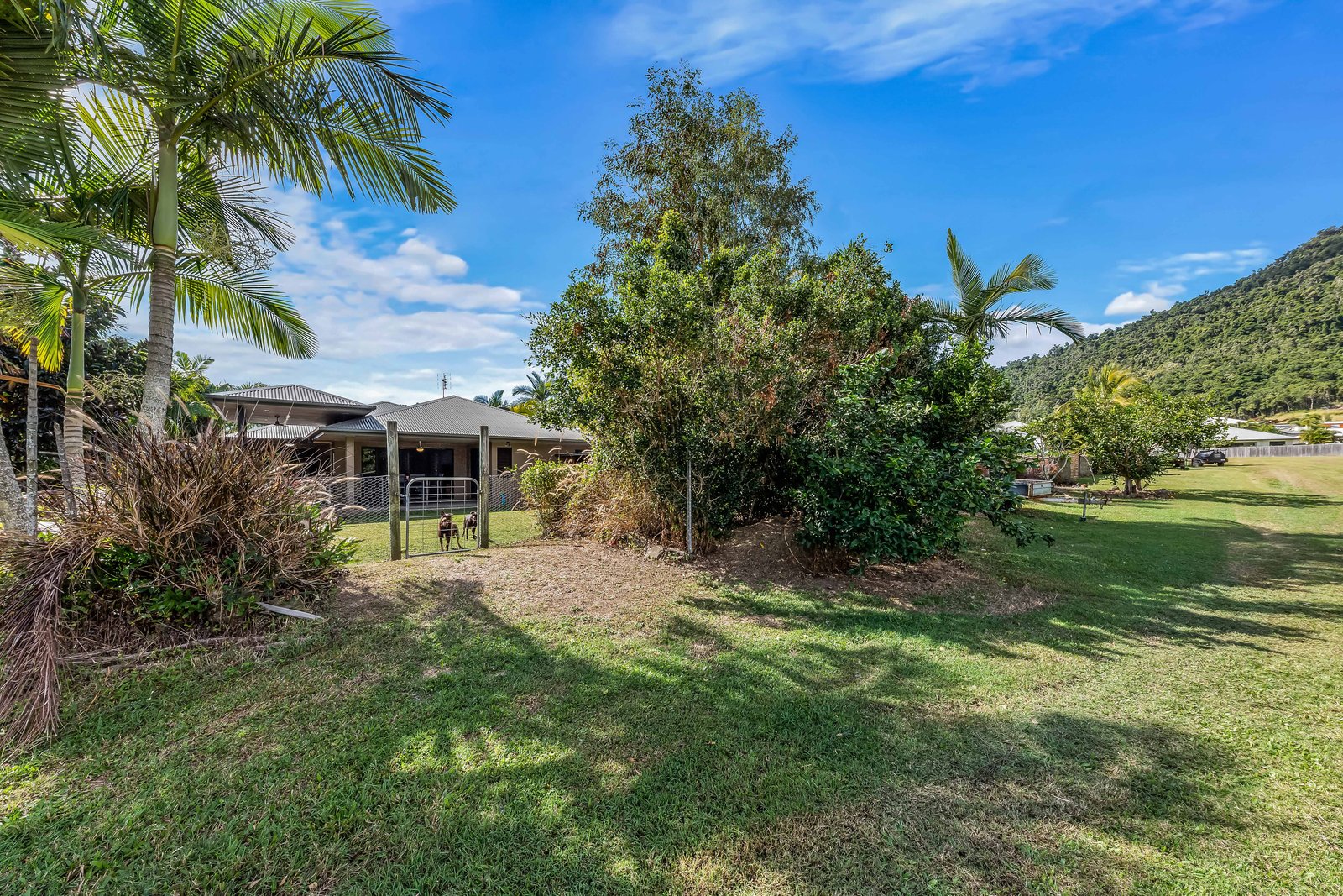 80 Abell Road CANNONVALE 19