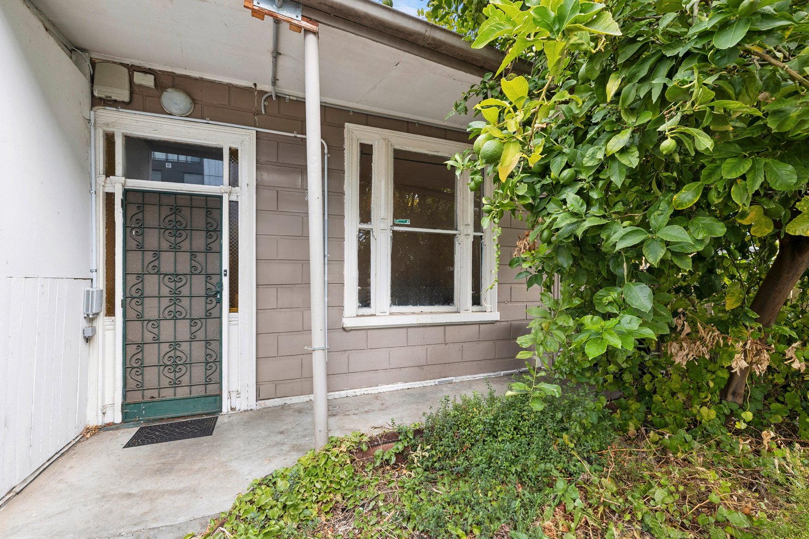 Gallery: 80 Abinger Street