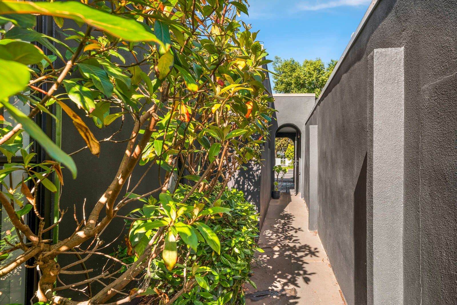 Real Estate and Property in 80 Arthur Street, Fairfield, VIC