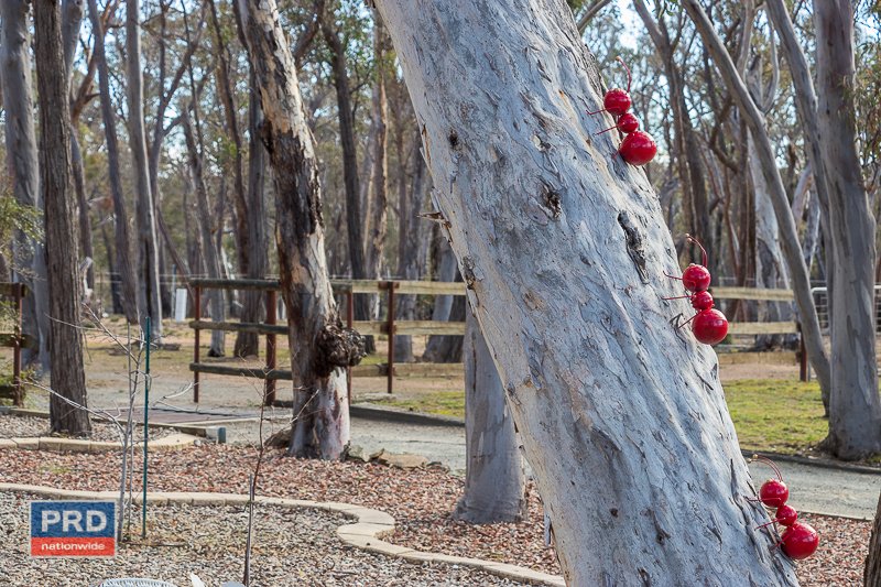 80 Canning Close WAMBOIN 19