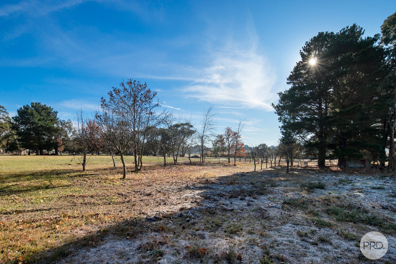 80 Careys Road SCARSDALE 5