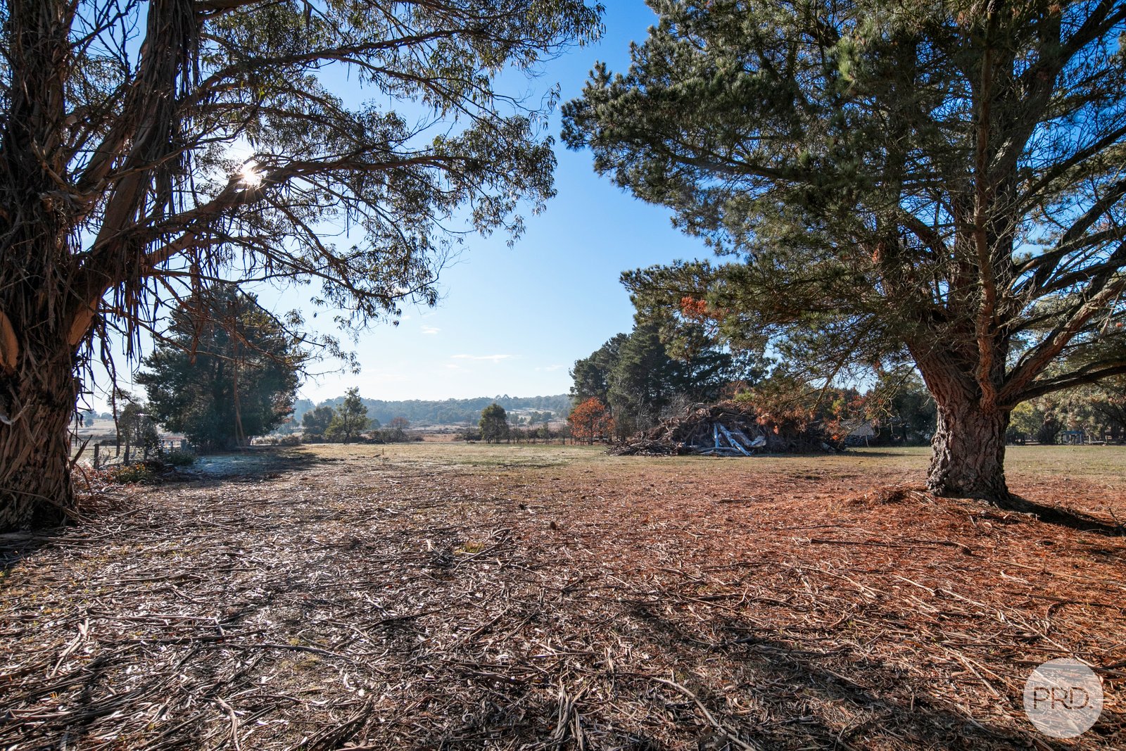 80 Careys Road SCARSDALE 6