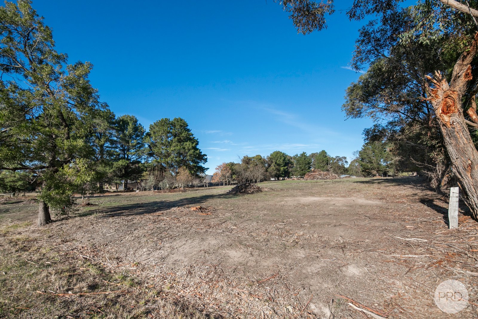 80 Careys Road SCARSDALE 7