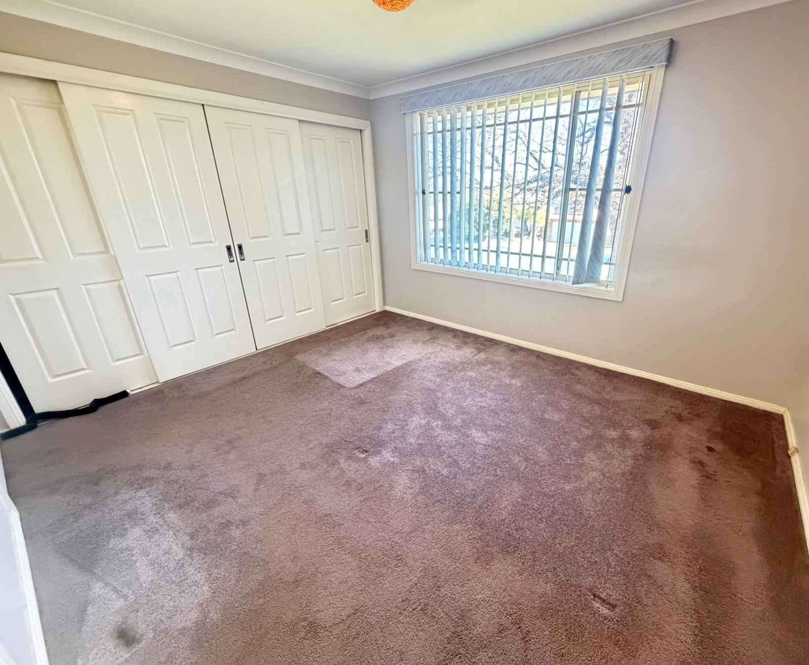 80 Glengarvin Drive TAMWORTH 3