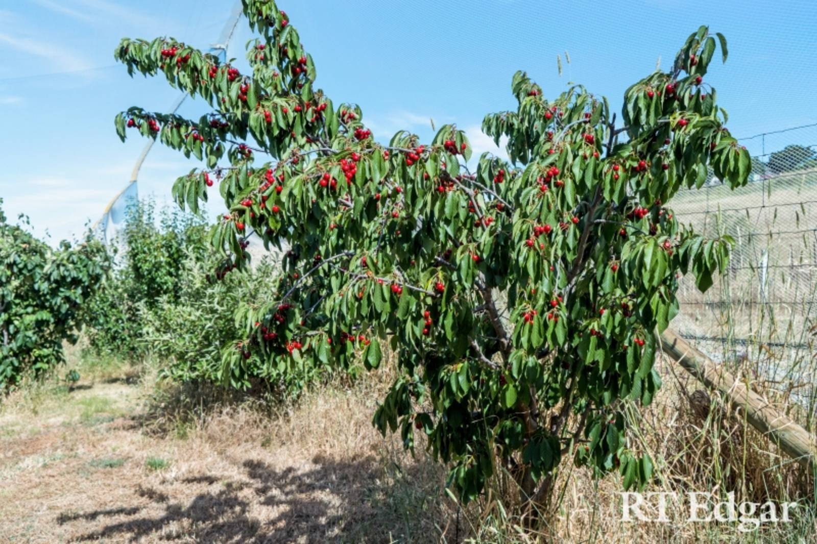 Real Estate and Property in 80 Joyce Lane, Mia Mia, VIC