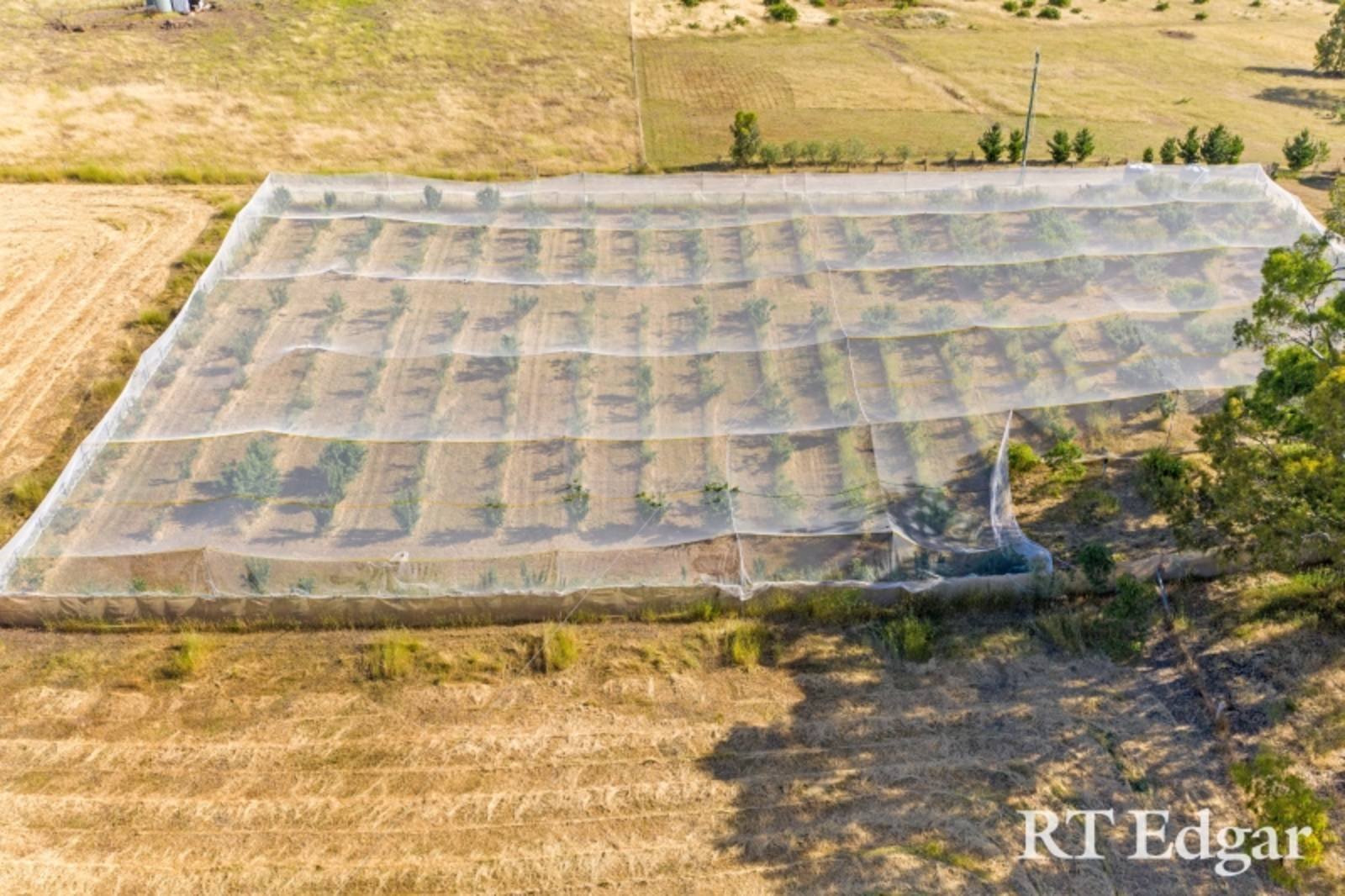 Real Estate and Property in 80 Joyce Lane, Mia Mia, VIC