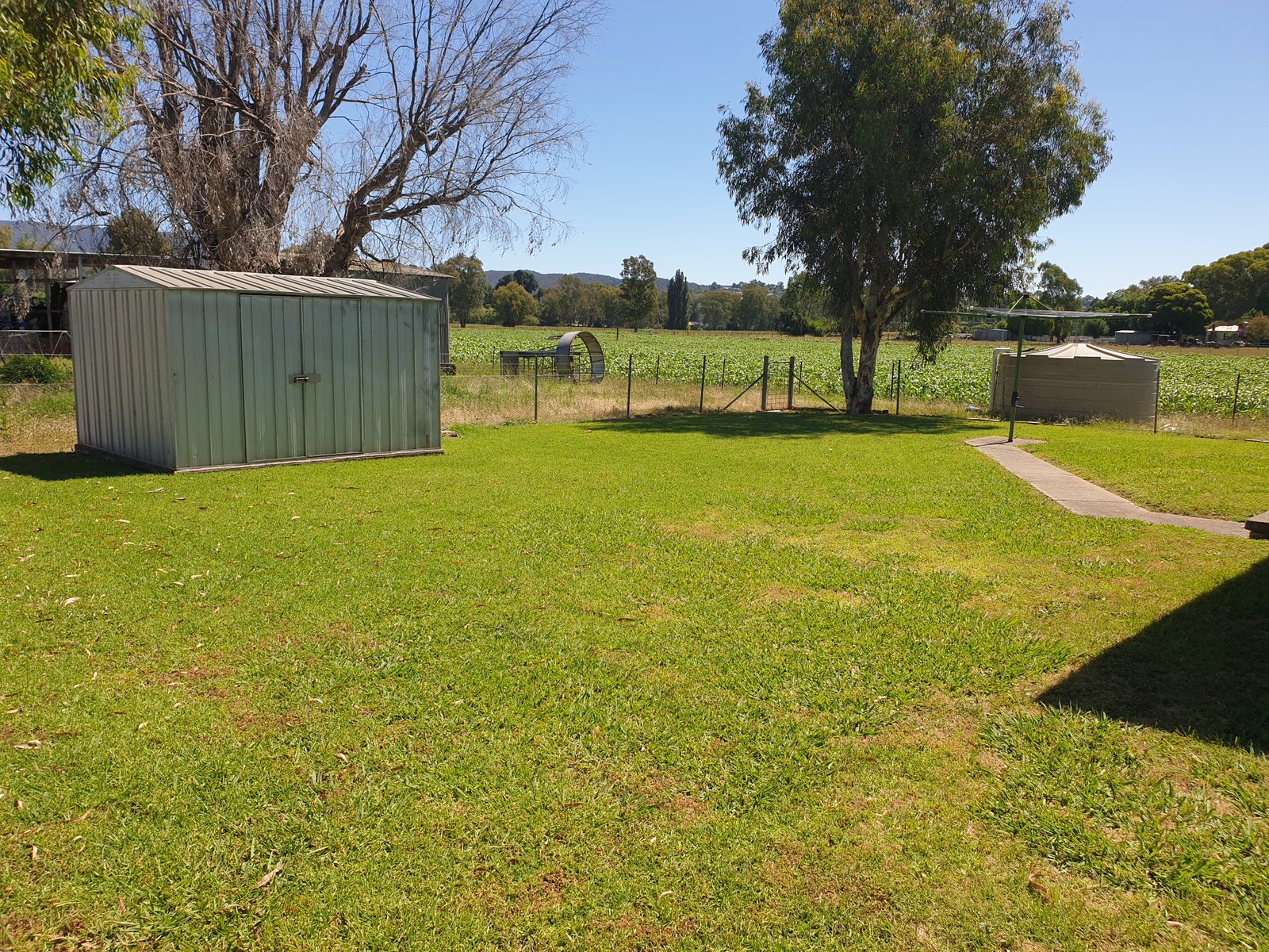 80 Lacmalac Road TUMUT 13