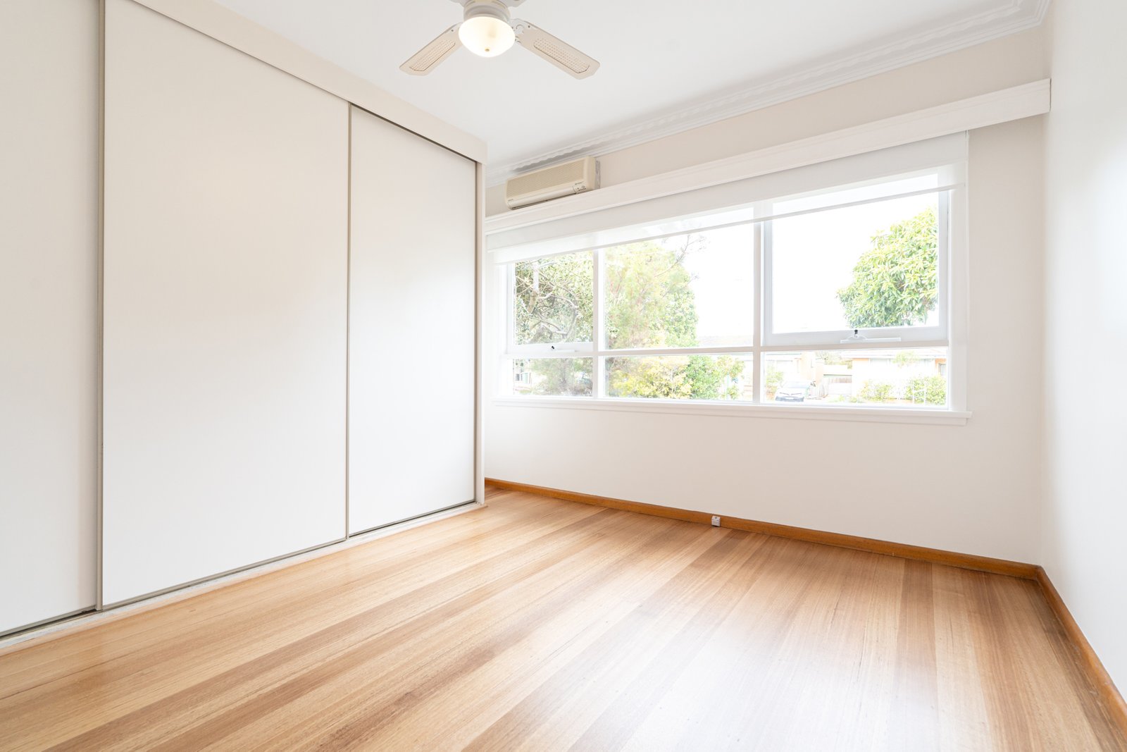 Gallery: 80 Pavo Street