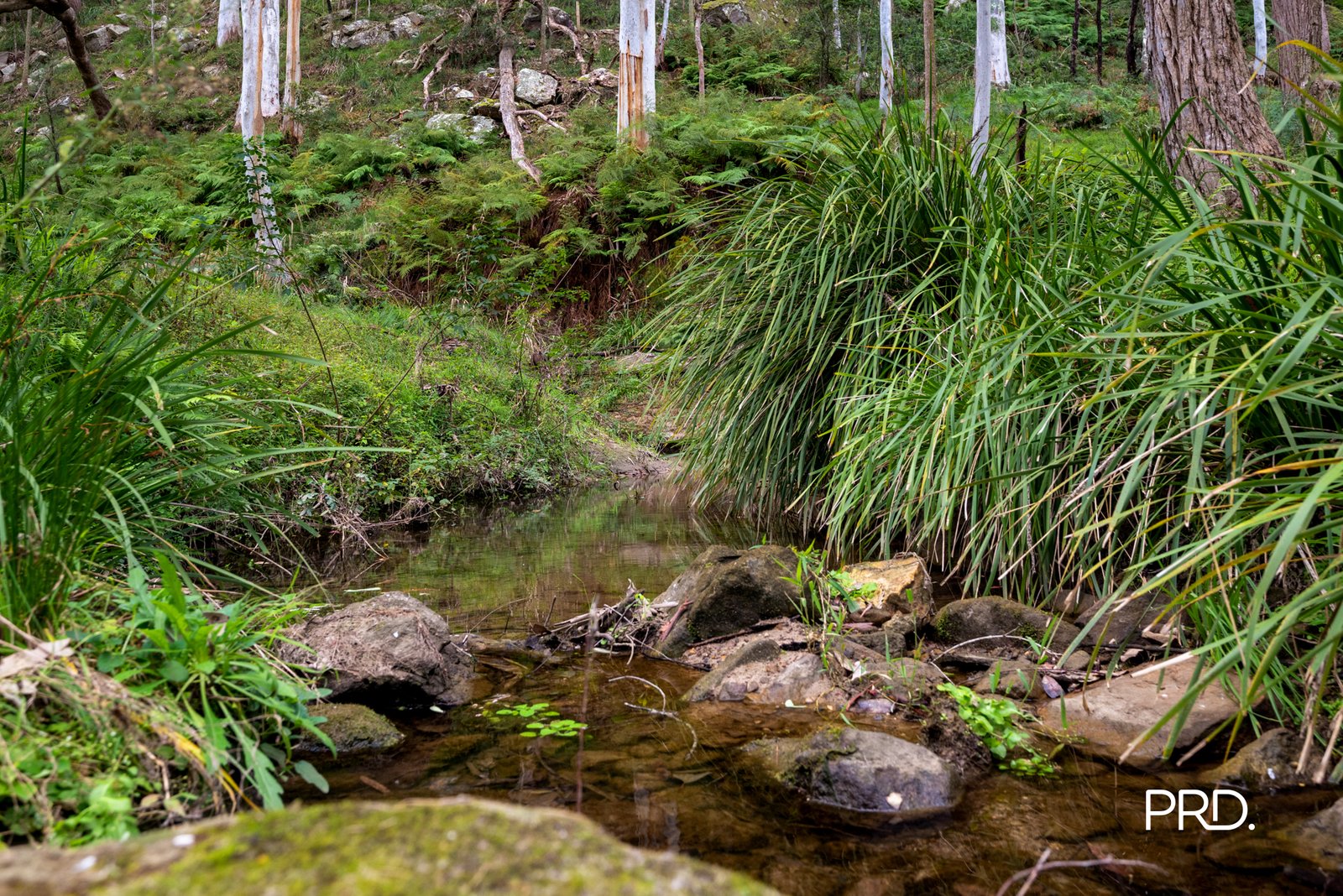 80 Rosenthal Lane SUN VALLEY 8