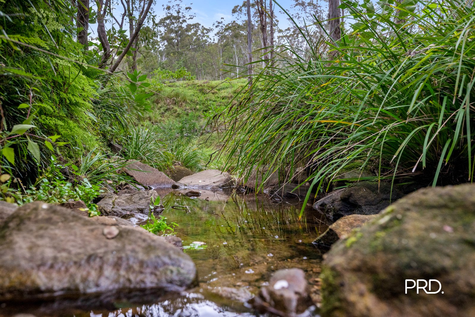 80 Rosenthal Lane SUN VALLEY 9