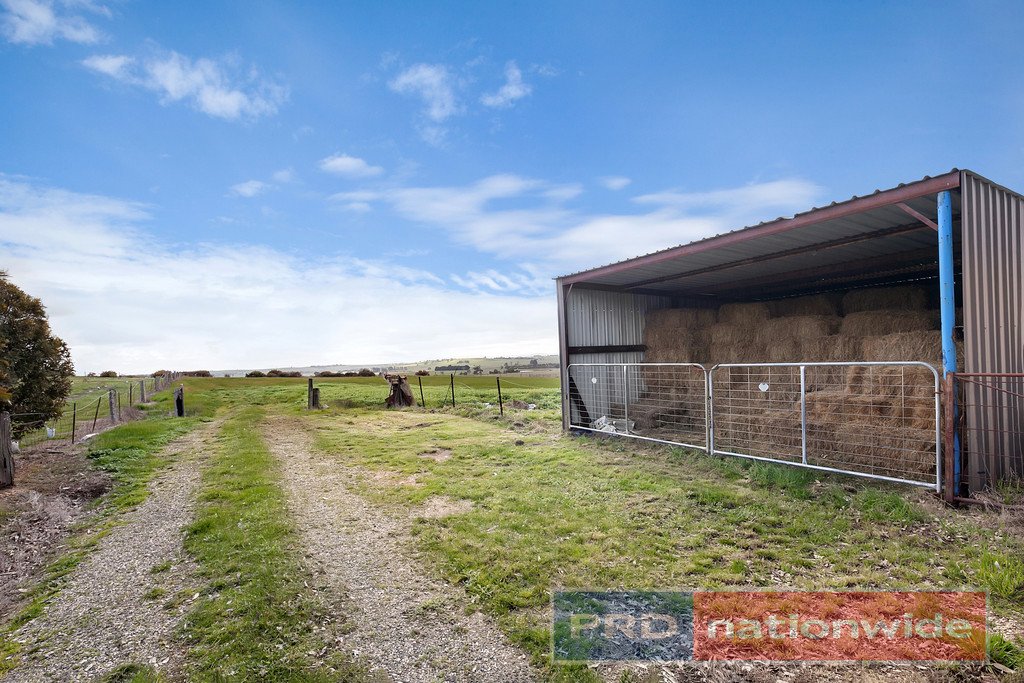 80 Sago Hill Road BUNKERS HILL 4