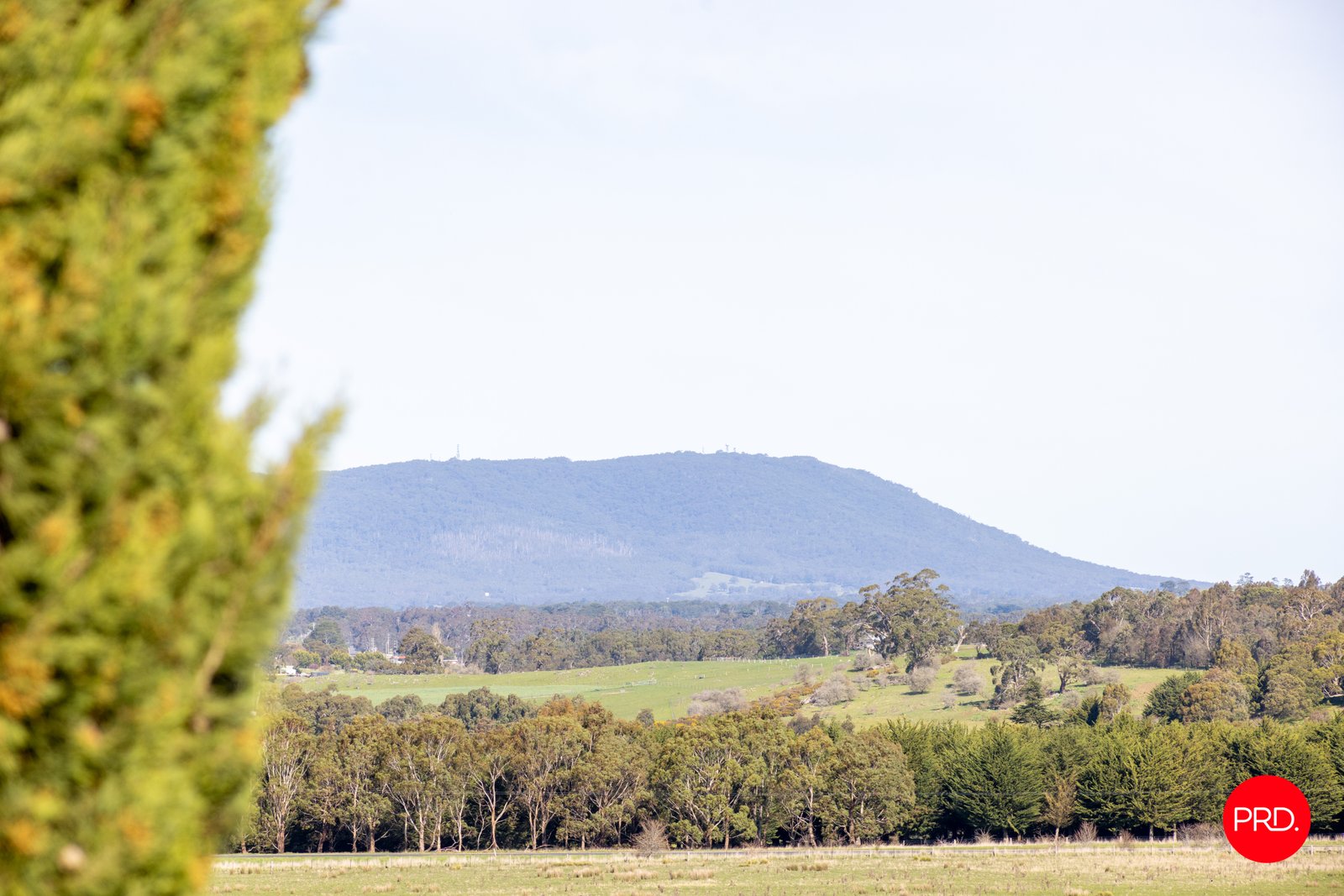 80 Trio Road KYNETON 16