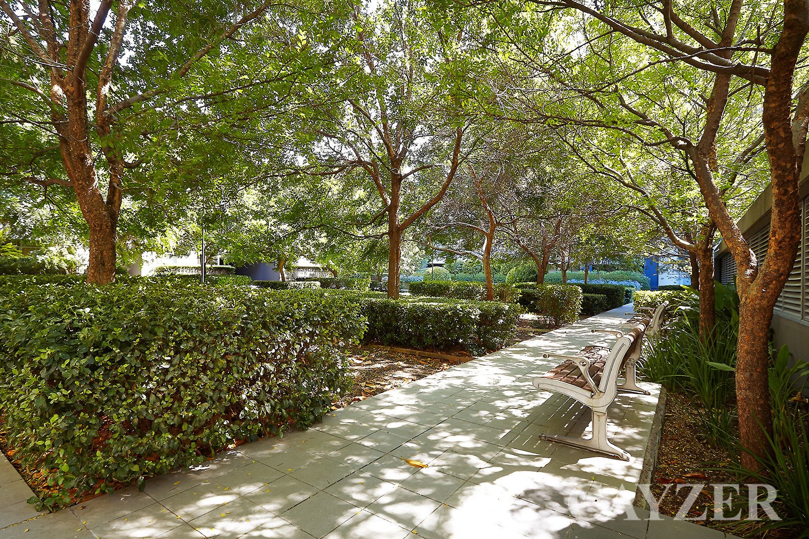 Gallery: 804G/93 Dow Street