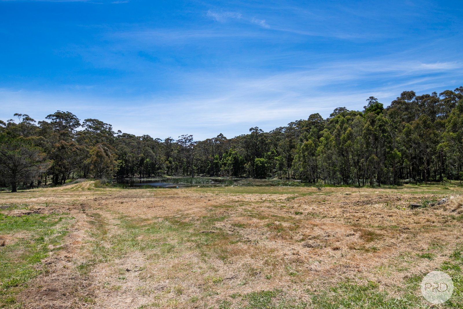 805 Spargo Creek Road BOLWARRAH 13