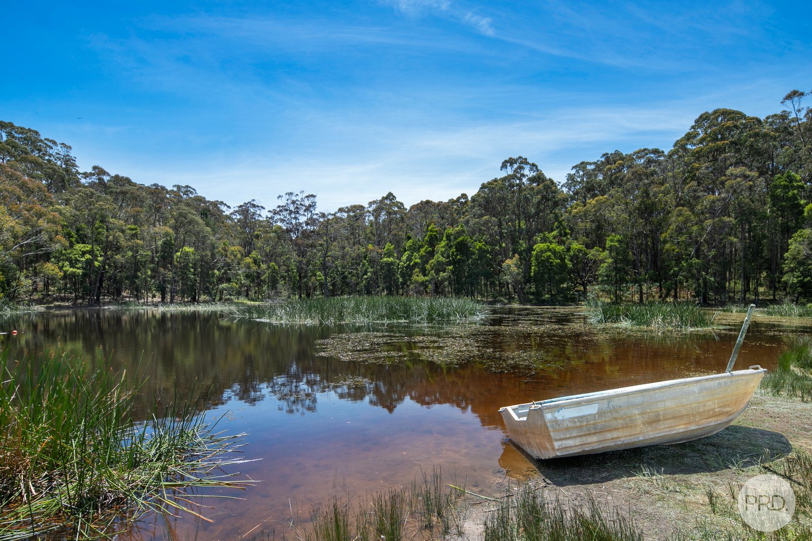 805 Spargo Creek Road BOLWARRAH 14