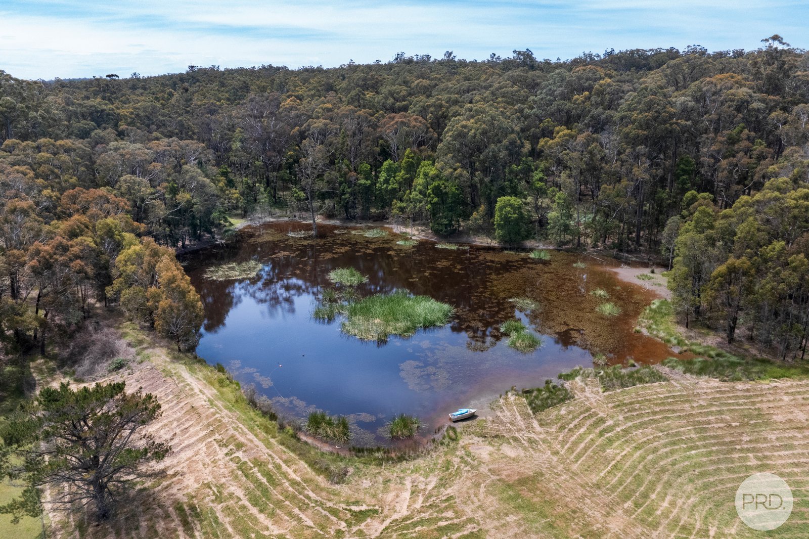 805 Spargo Creek Road BOLWARRAH 15
