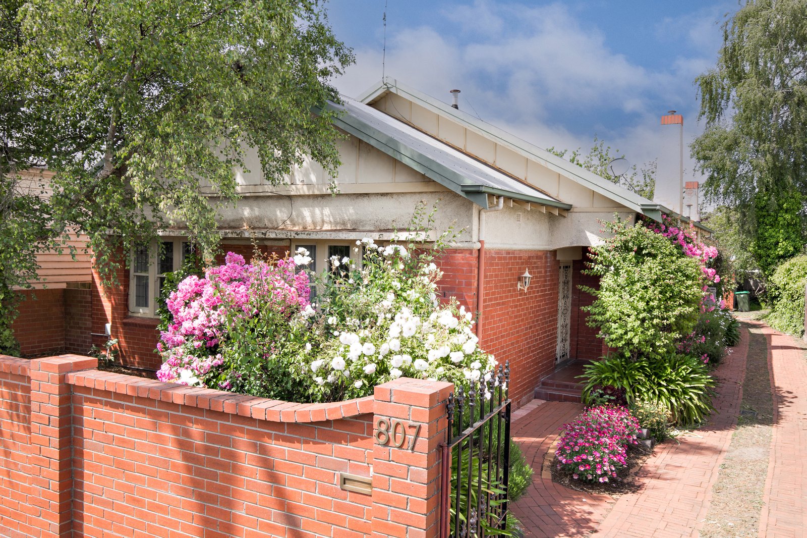 Gallery: 807 Dana Street