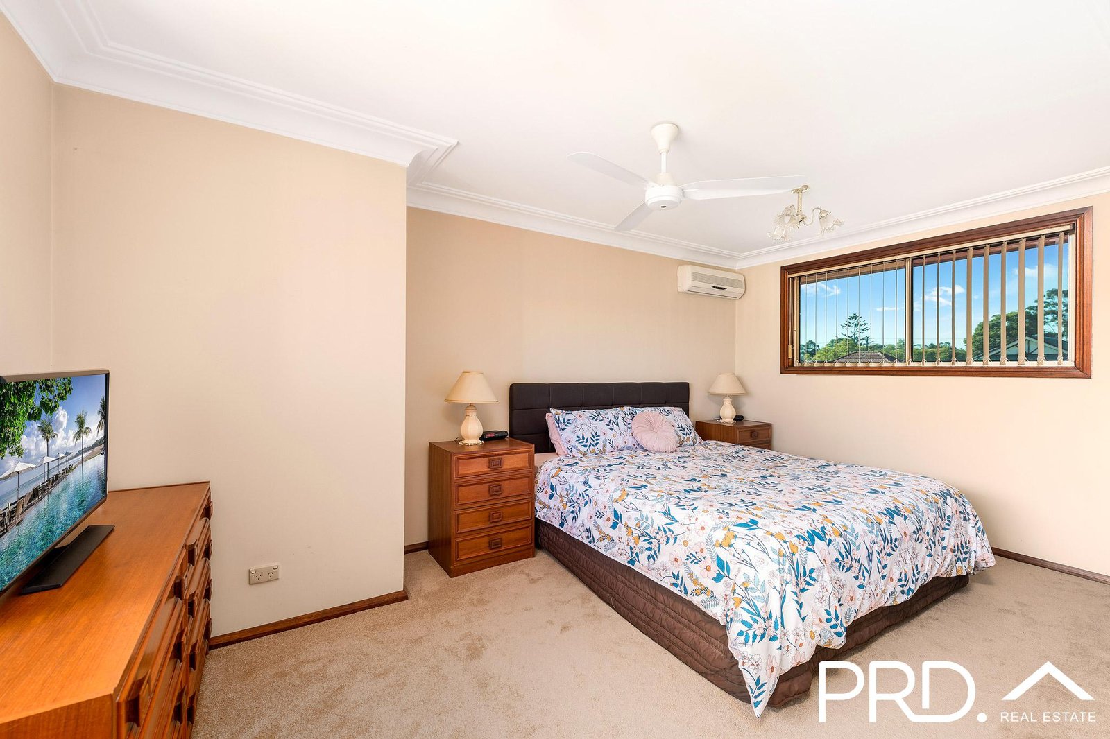 81 Ardath Avenue PANANIA 5