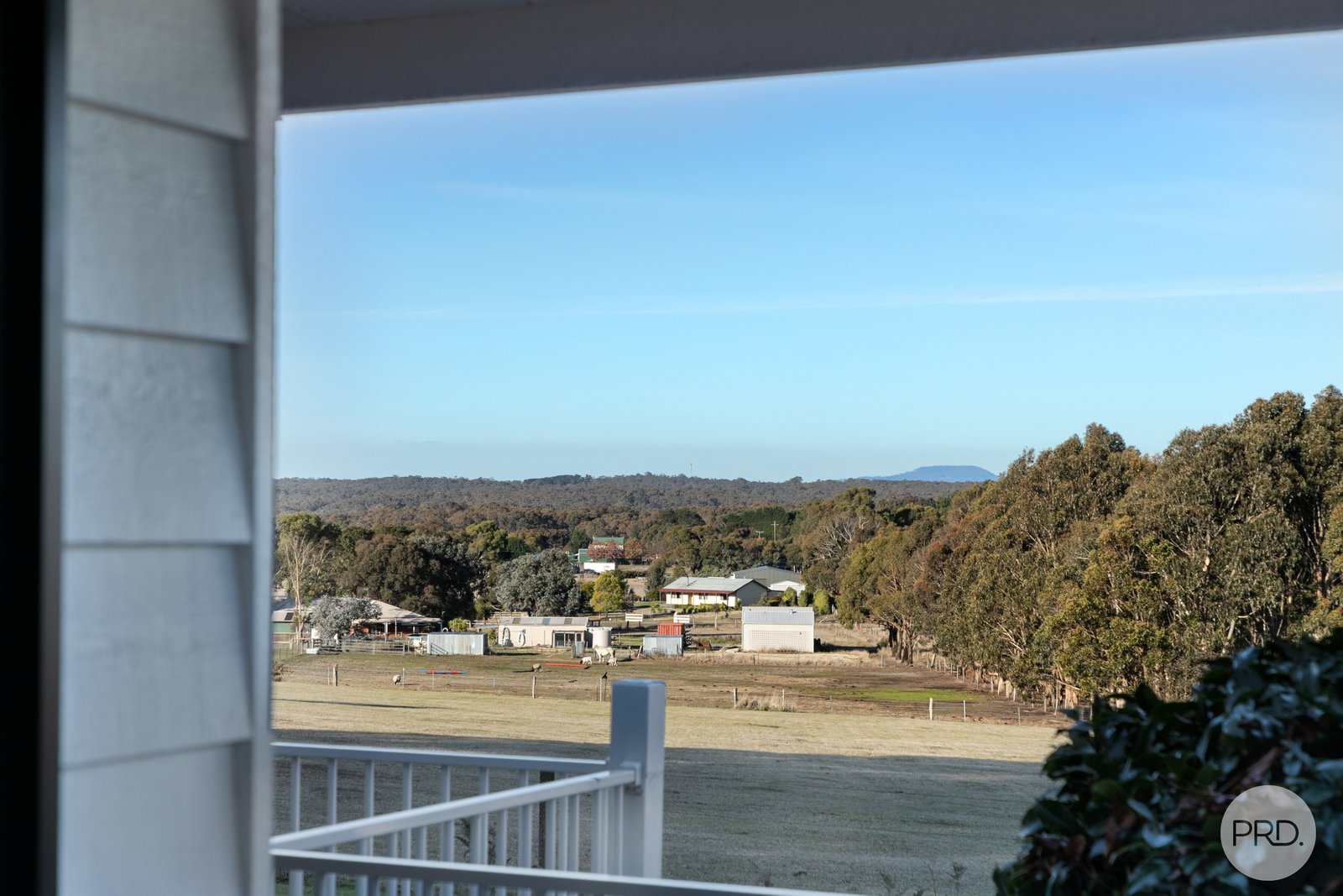 81 Blackberry Lane HADDON 19