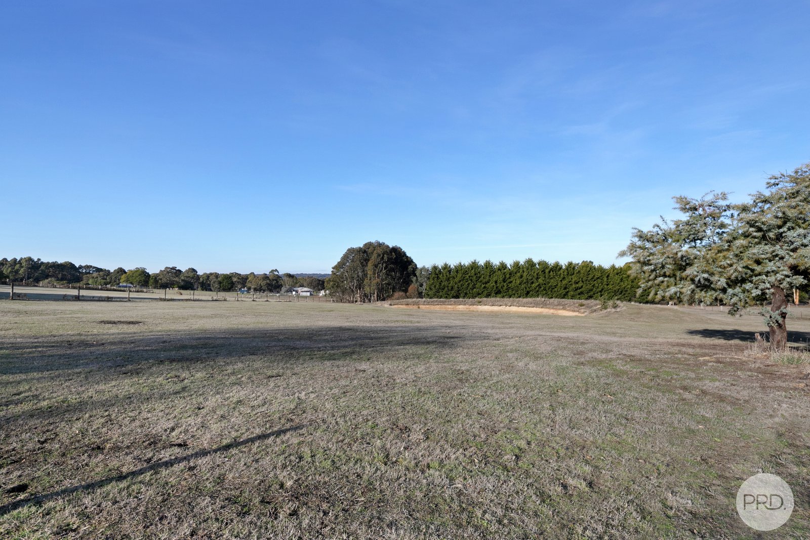 81 Blackberry Lane HADDON 22