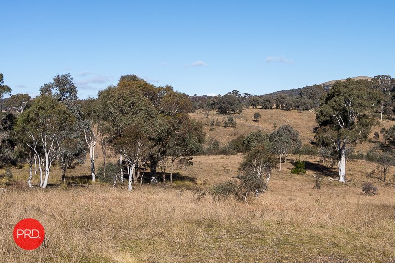 81 Douglas Close CARWOOLA 33