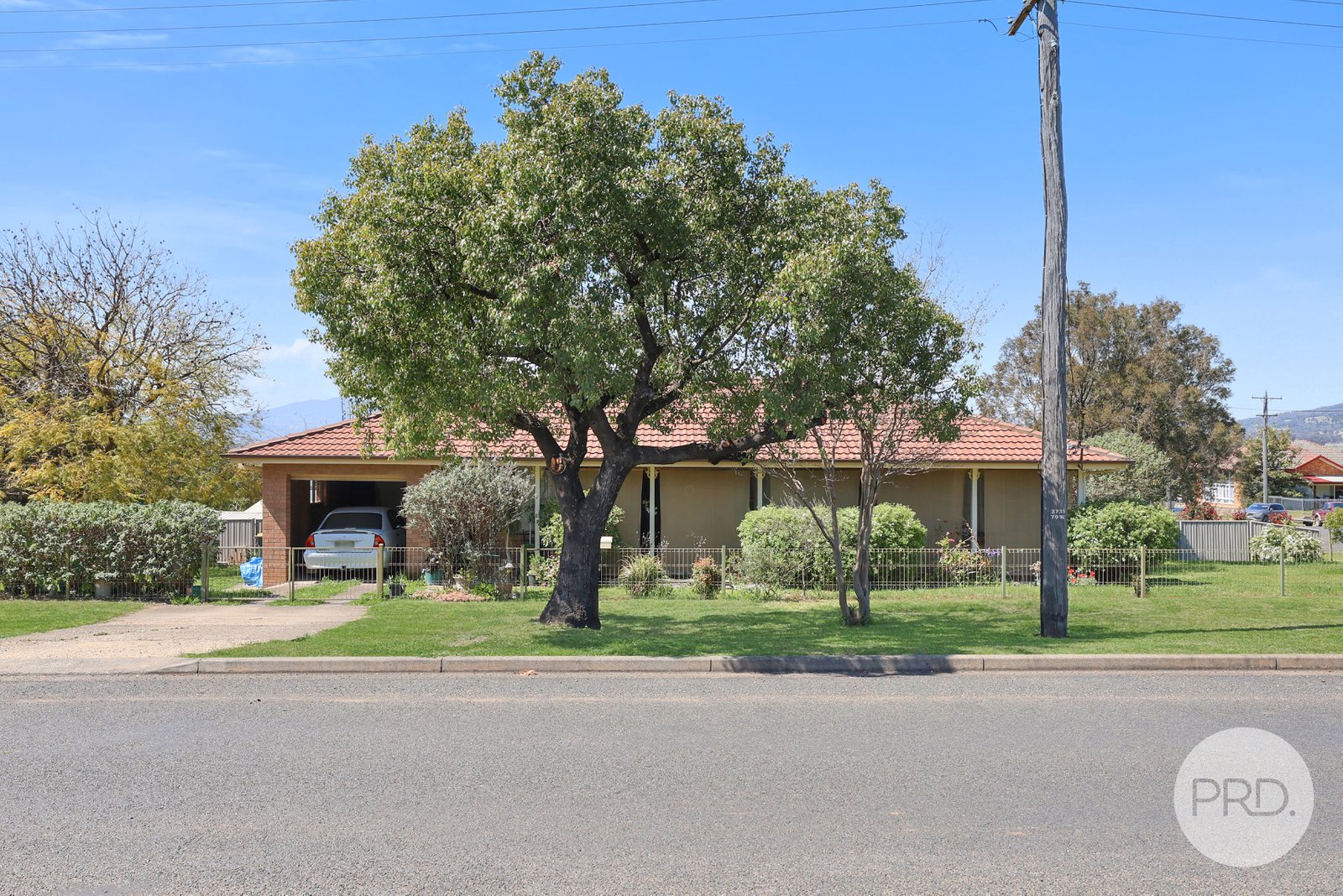 81 Hill Street QUIRINDI 1