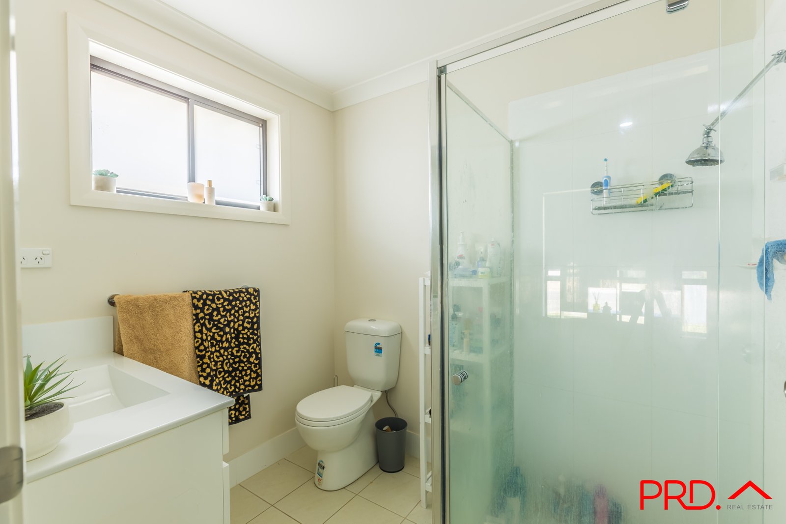 81 Kenny Drive TAMWORTH 4