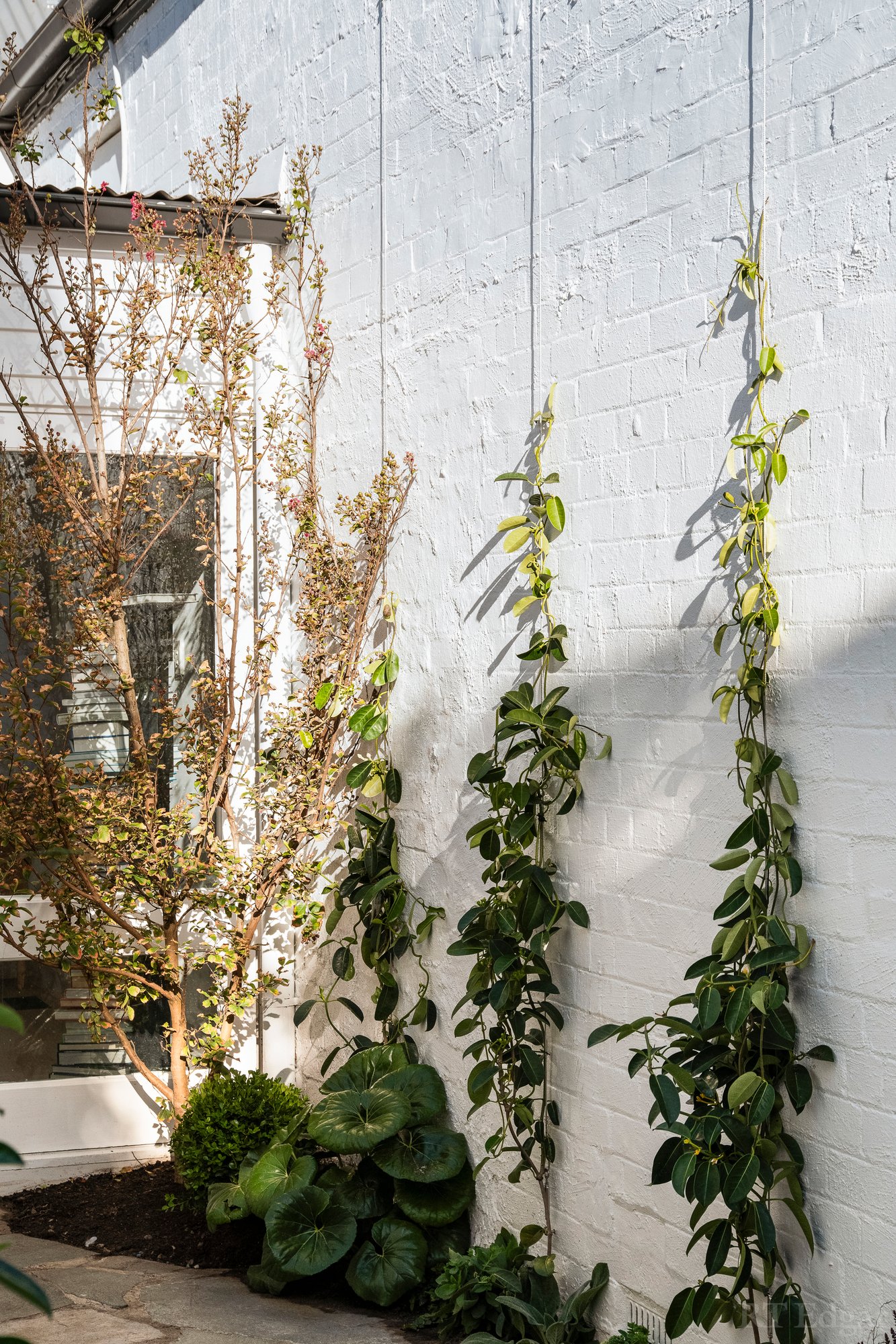 Real Estate and Property in 81 Lewisham Road North, Prahran, VIC