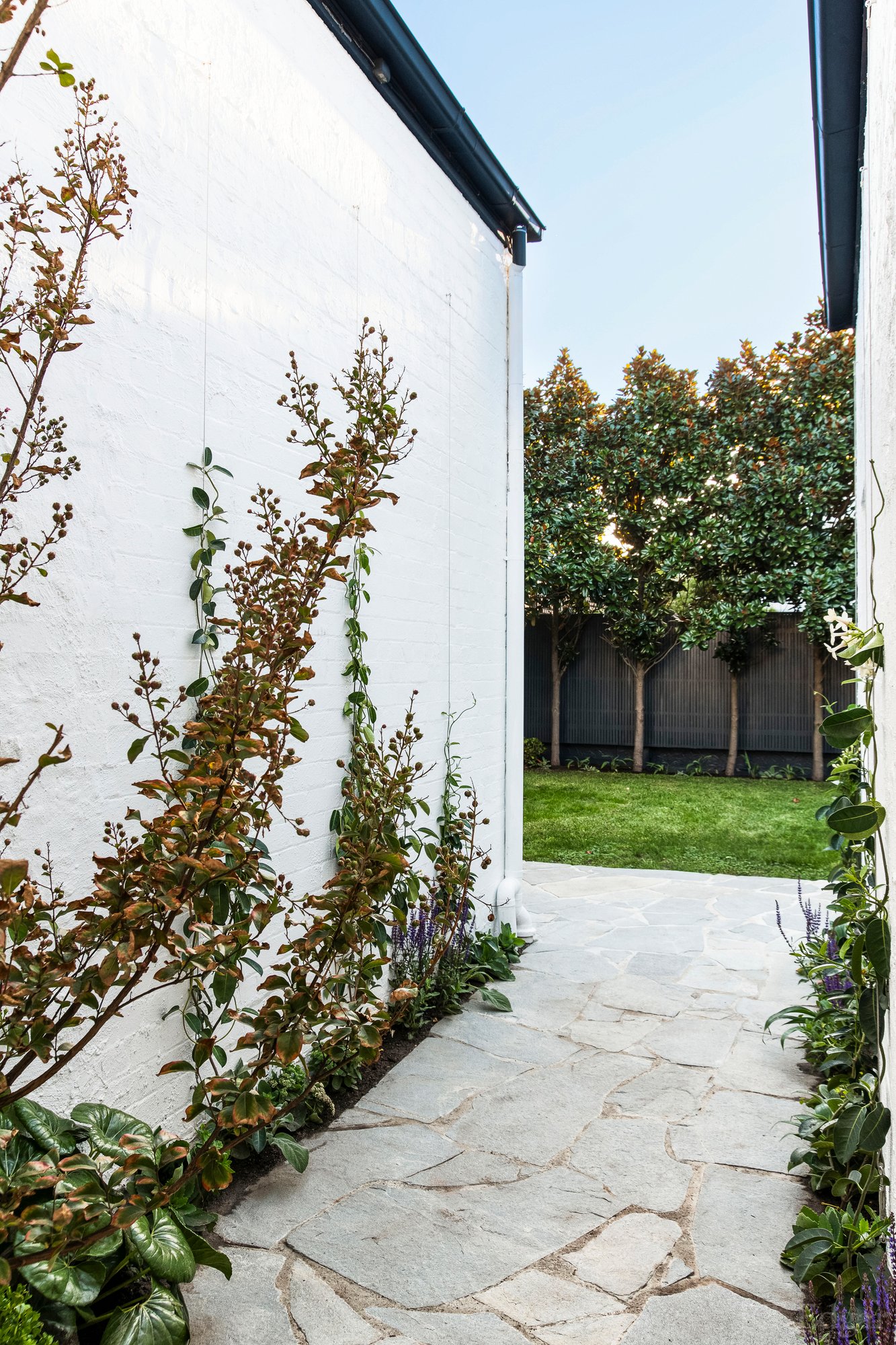 Real Estate and Property in 81 Lewisham Road North, Prahran, VIC