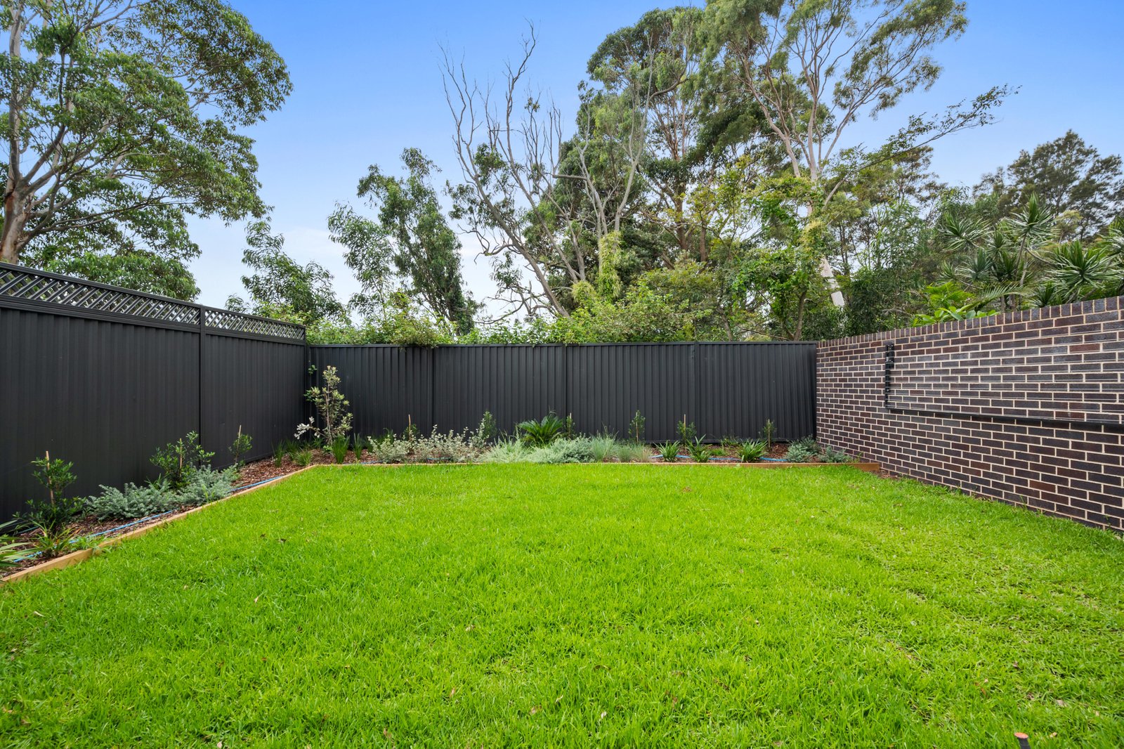 81 Mitchell Street CHIFLEY 18