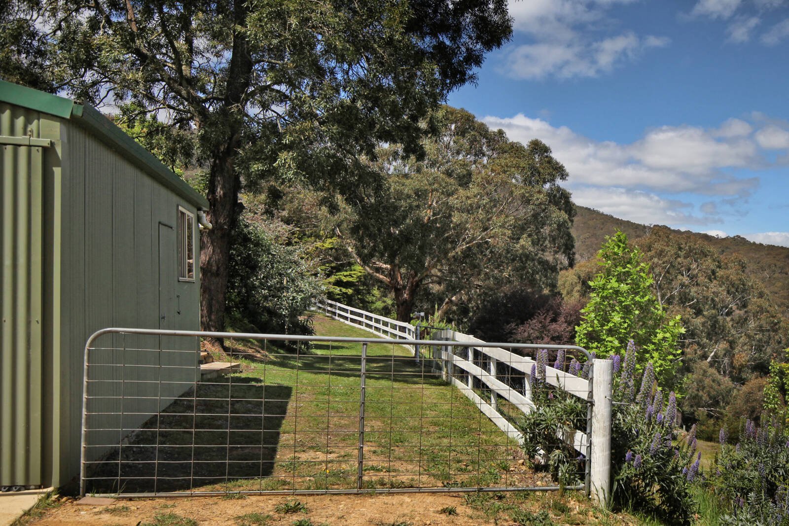 Real Estate and Property in 81 Mount Robertson Road, New Gisborne, VIC