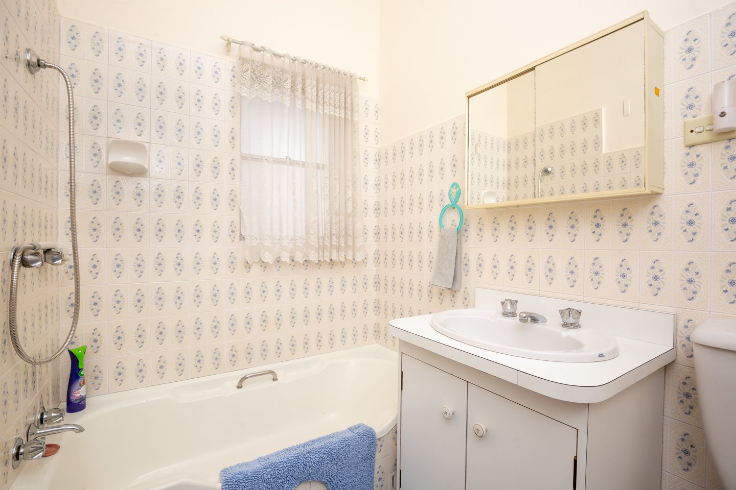 81 Remly Street ROSELANDS 9