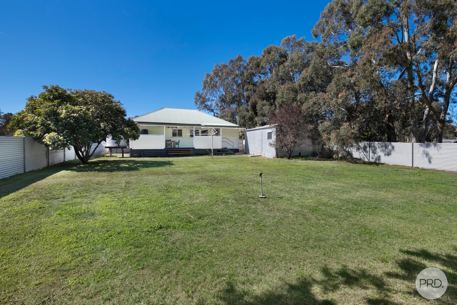 81 Skene Street LEXTON 8