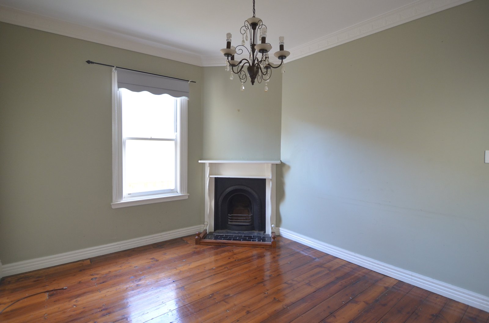 Gallery: 81 Waratah Street