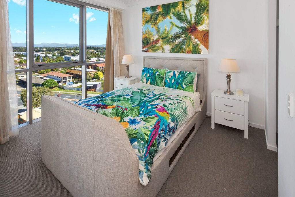 811/19 Imperial Parade LABRADOR 5