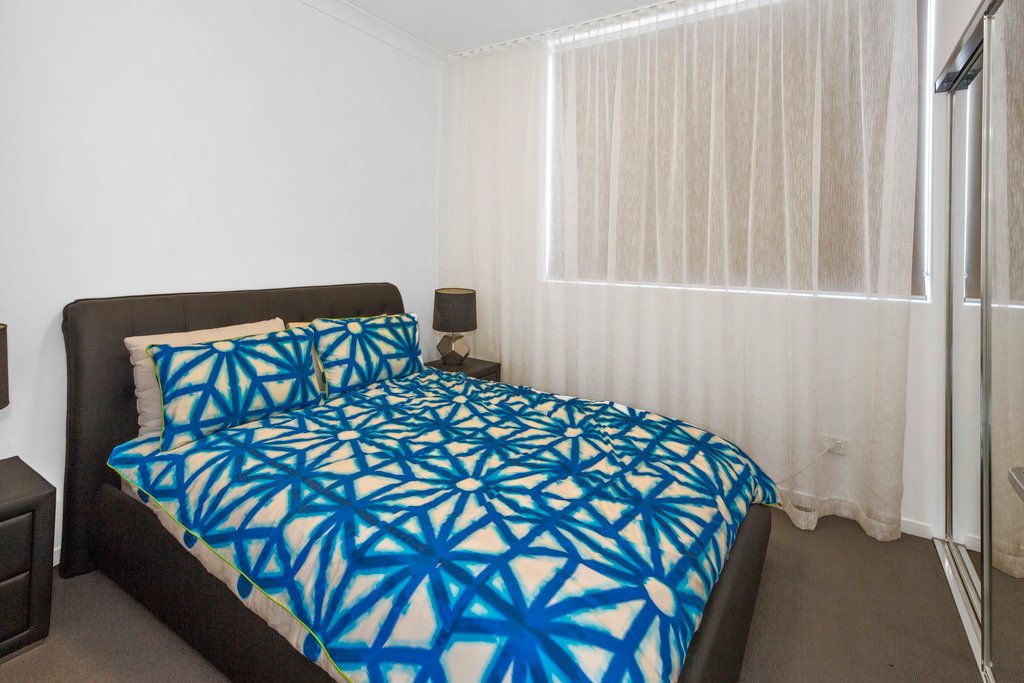 811/19 Imperial Parade LABRADOR 7