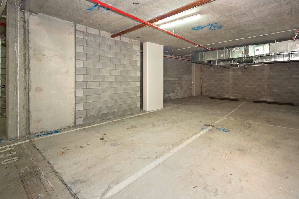 811/19 Imperial Parade LABRADOR 24