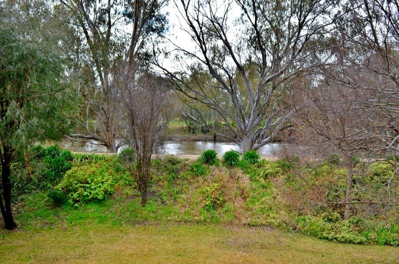 8/115 Tarcutta Street WAGGA WAGGA 6