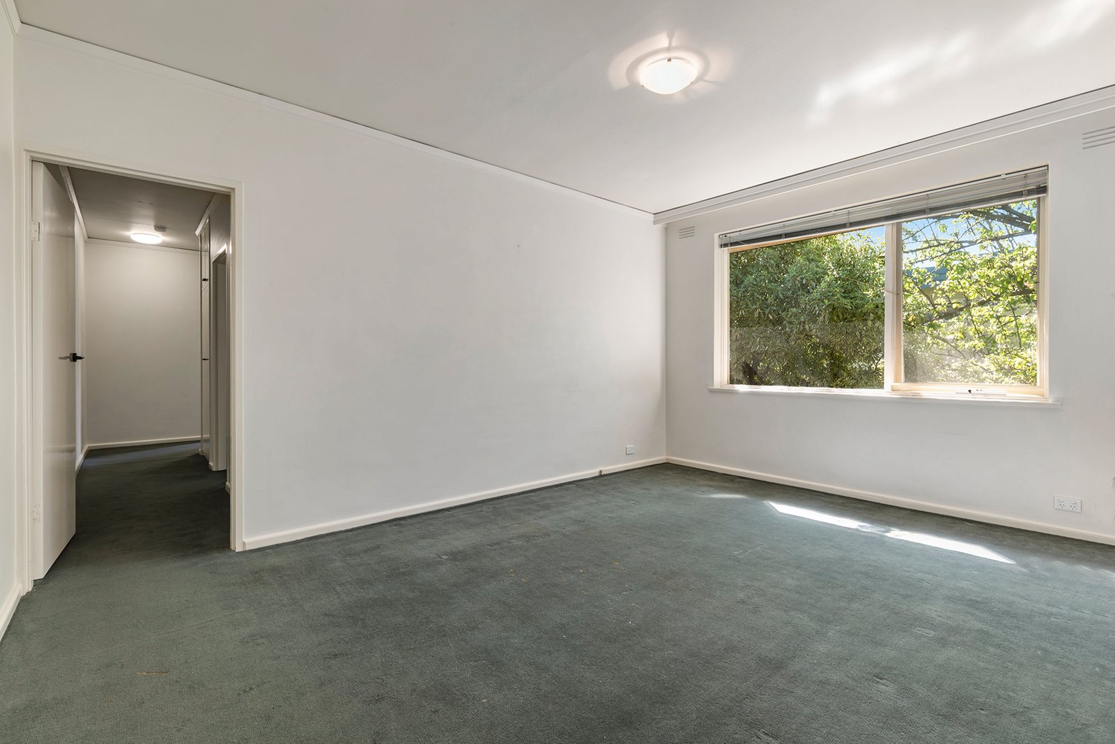 Gallery: 8/13 Holloway Street