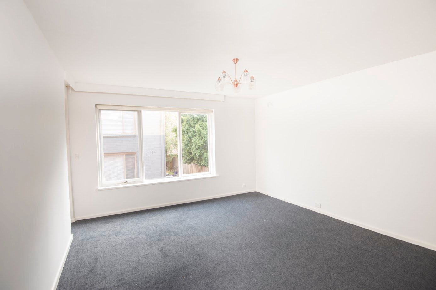 Gallery: 8/14 Westbury Street