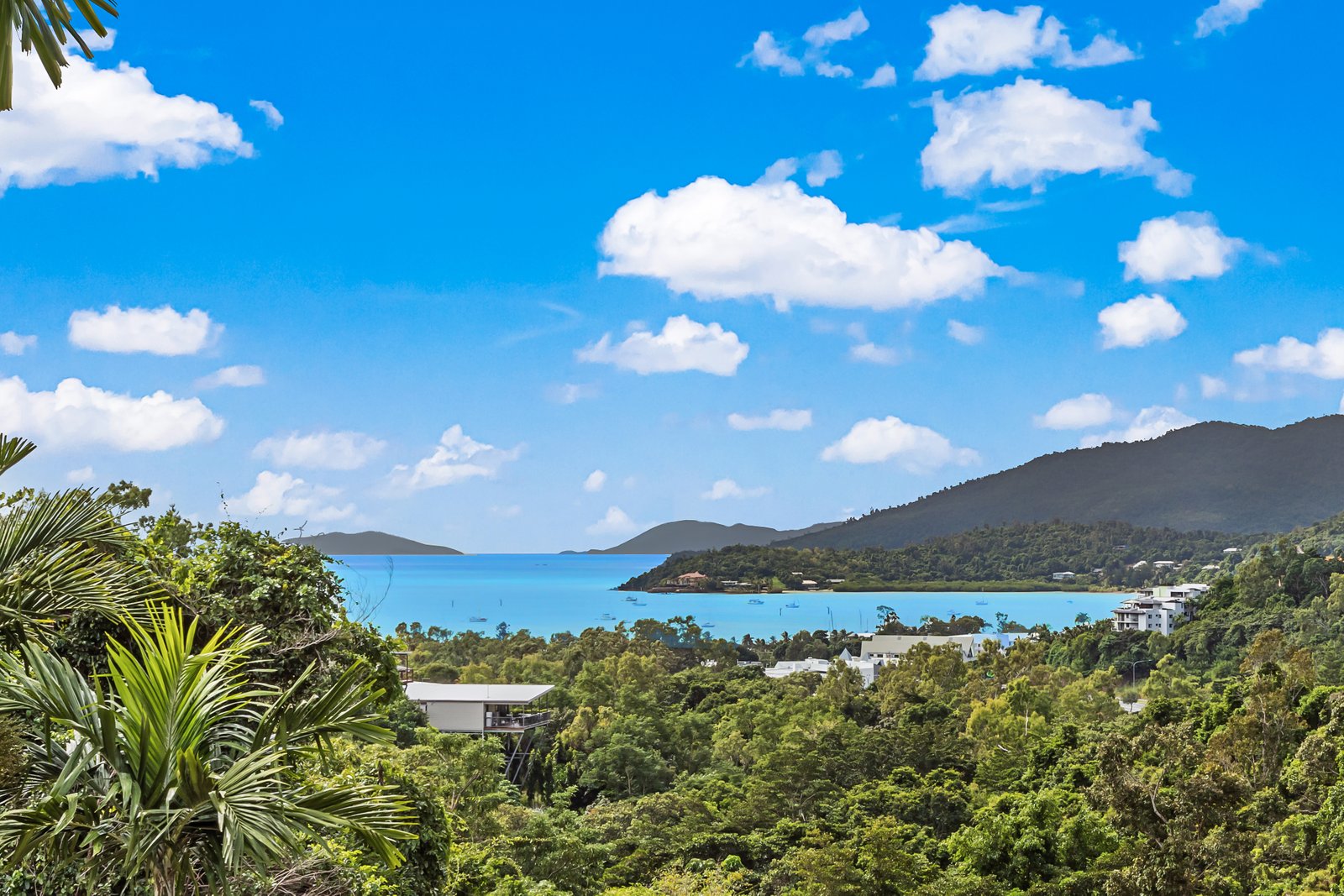 8/15 Flame Tree Court AIRLIE BEACH 4